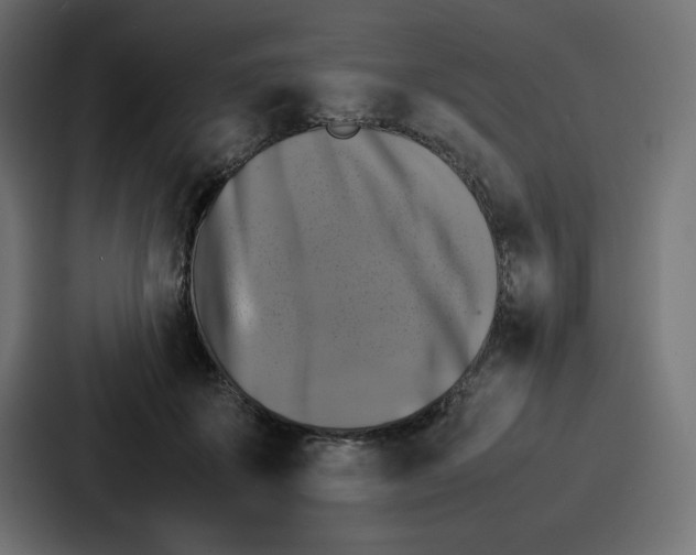 X0000087050507200705160954