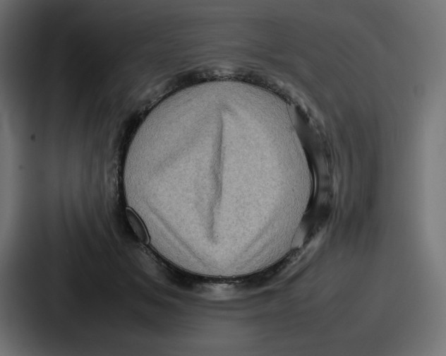 X0000087050509200705160954