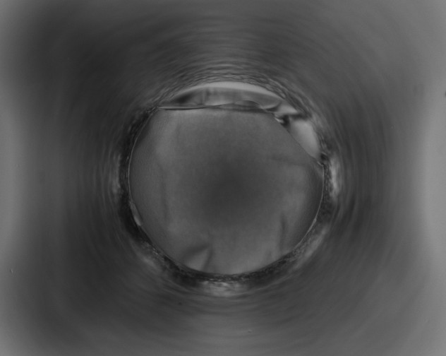 X0000087050512200705160954