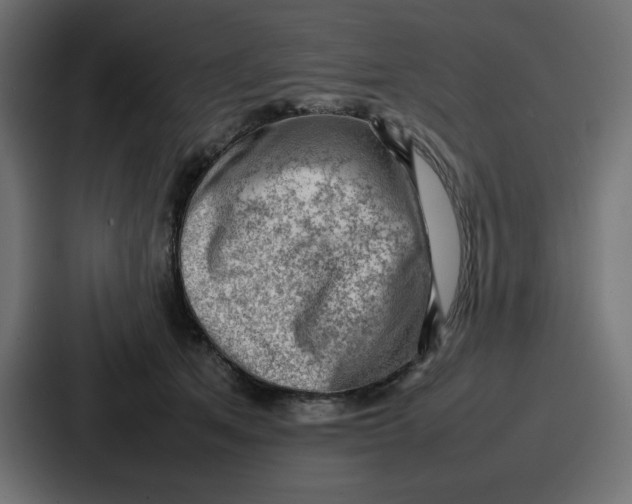 X0000087050513200705160954