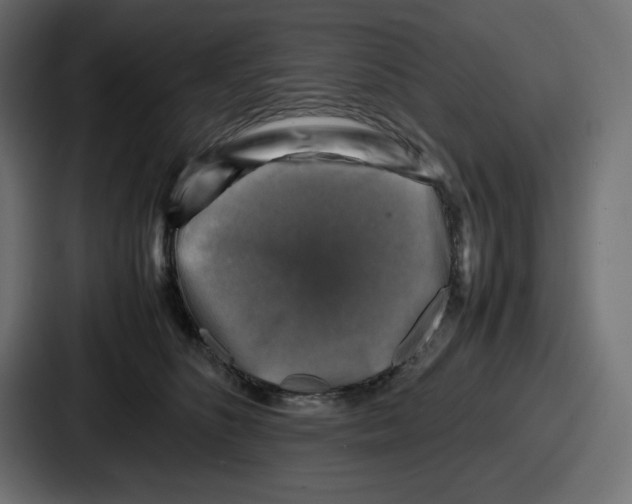 X0000087050516200705160954