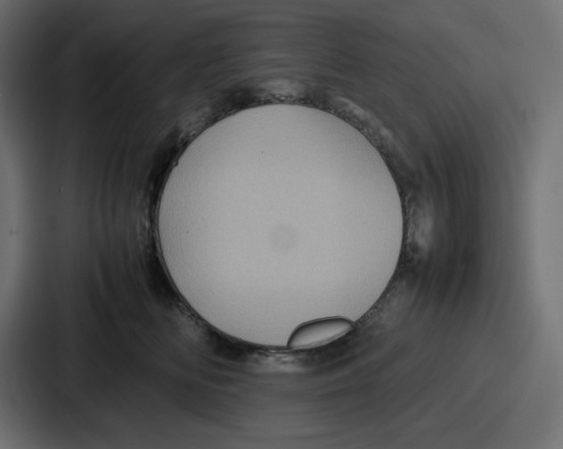 X0000087050518200705160954