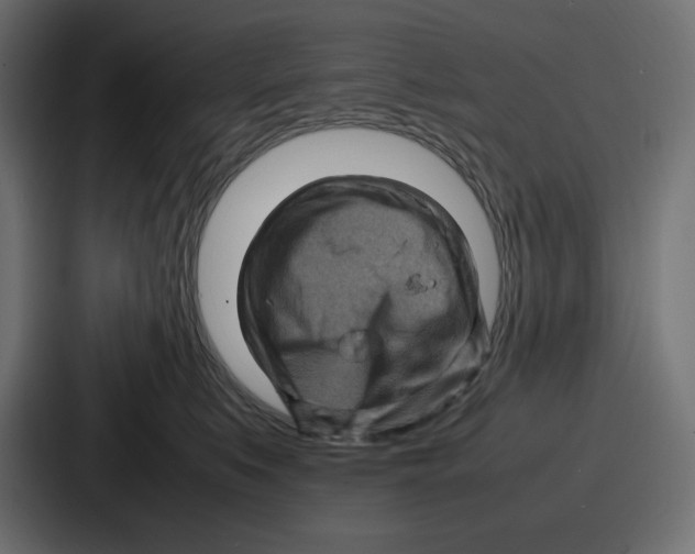 X0000087050519200705160954