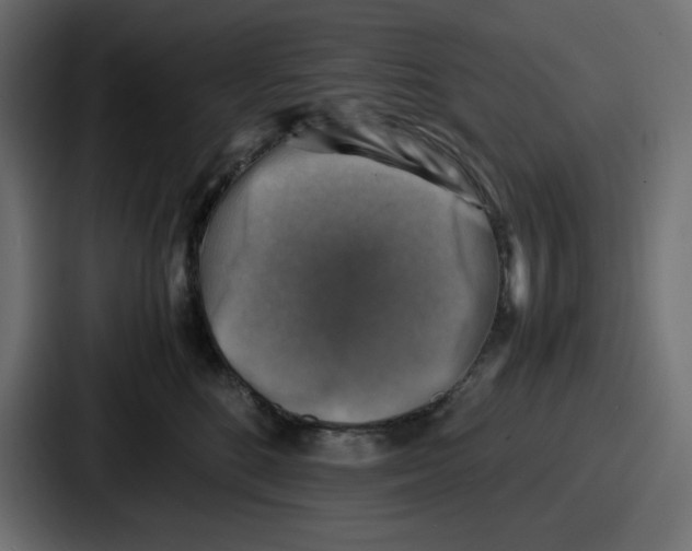 X0000087050520200705160954