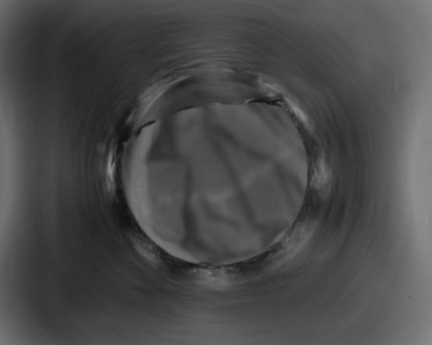 X0000087050524200705160954