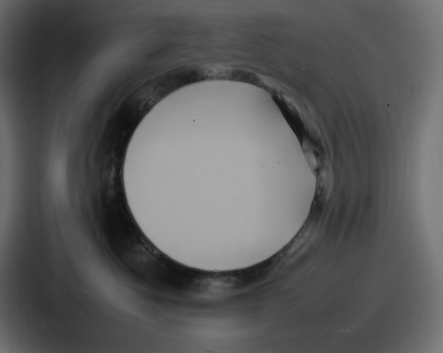 X0000087050525200705160954