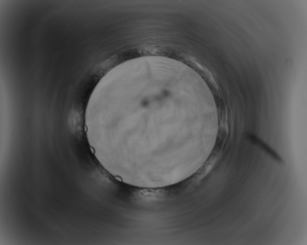 X0000087050526200705160954