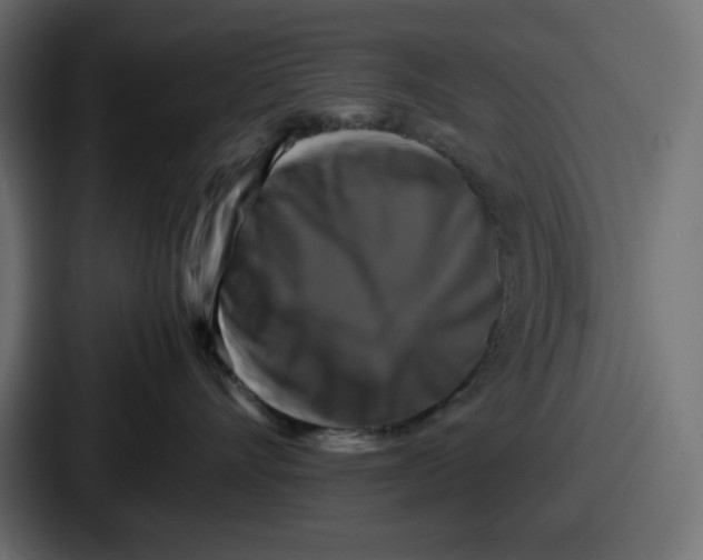 X0000087050528200705160954