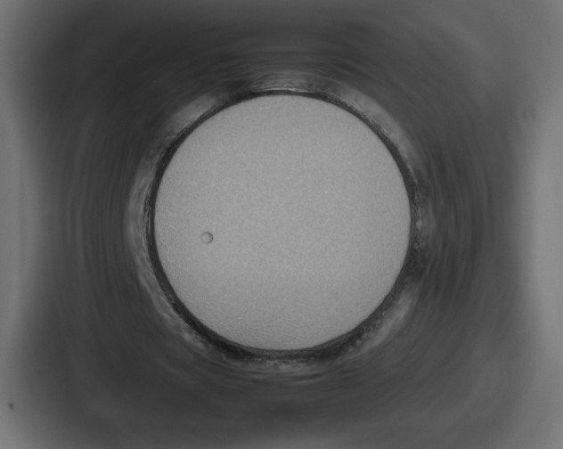 X0000087050529200705160953