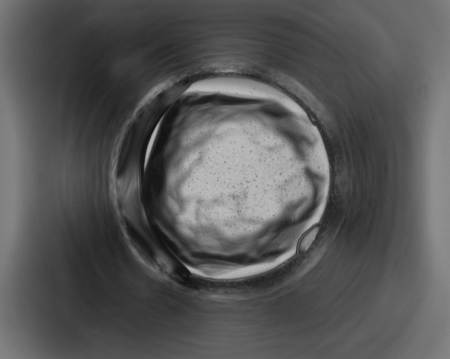 X0000087050530200705160953