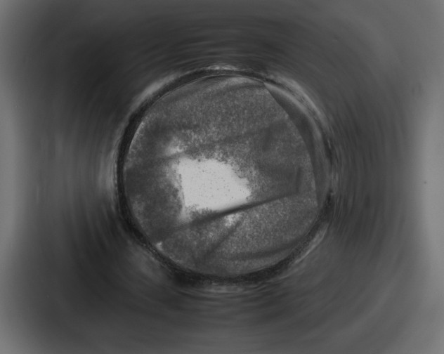 X0000087050531200705160953