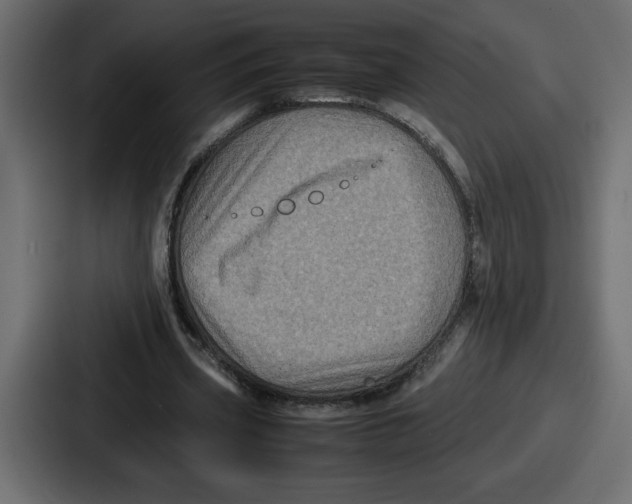 X0000087050533200705160953