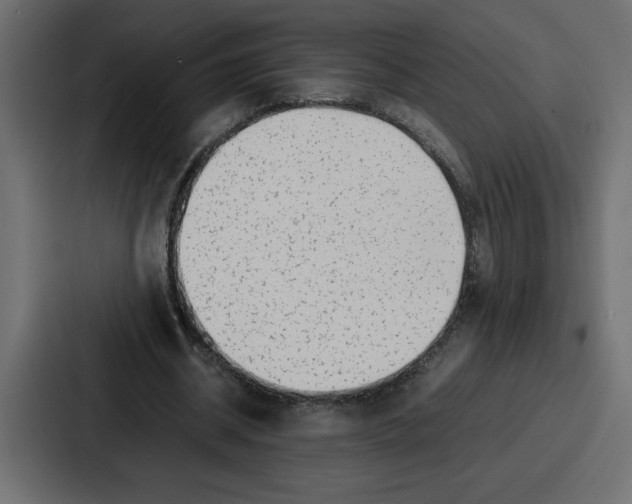 X0000087050534200705160953