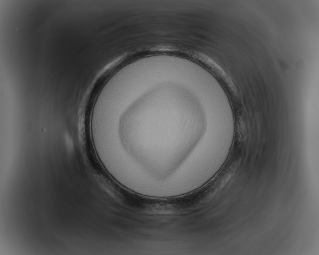 X0000087050535200705160953