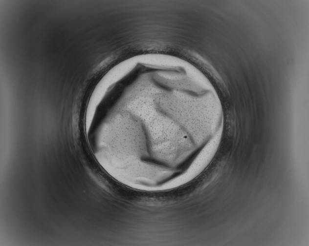 X0000087050538200705160953