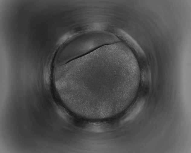 X0000087050540200705160953