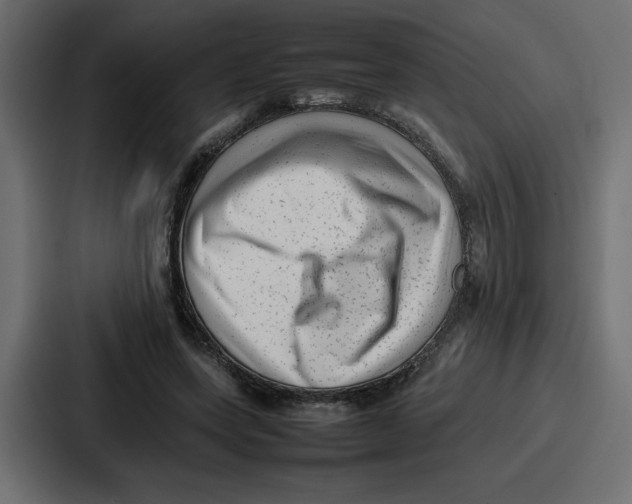 X0000087050543200705160953