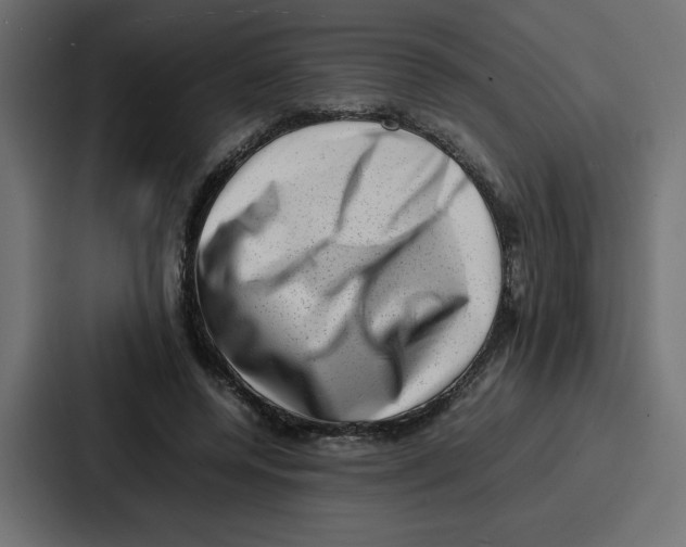 X0000087050544200705160953