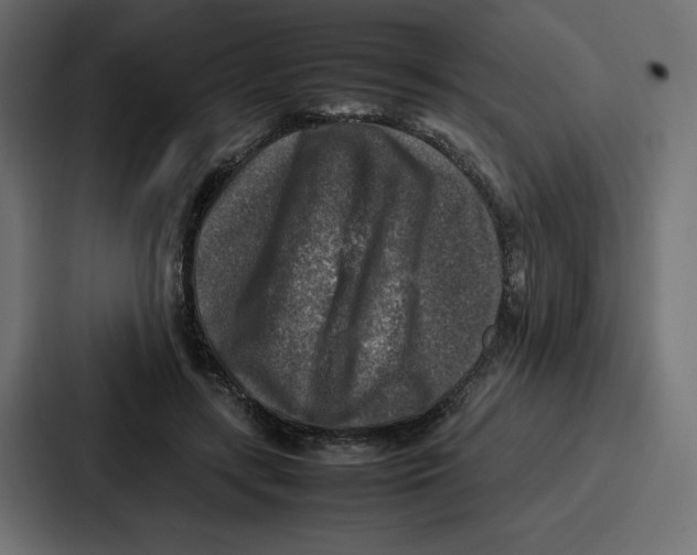 X0000087050547200705160953