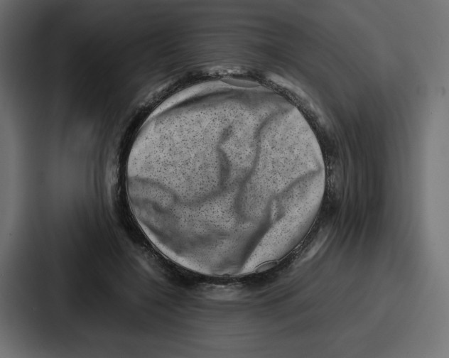 X0000087050548200705160953