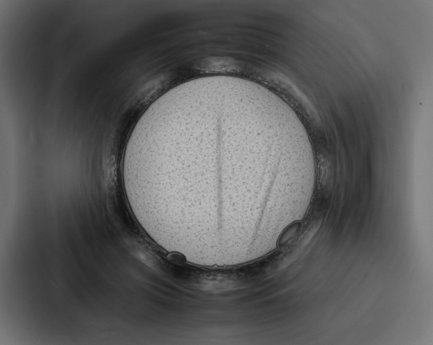 X0000087050549200705160953