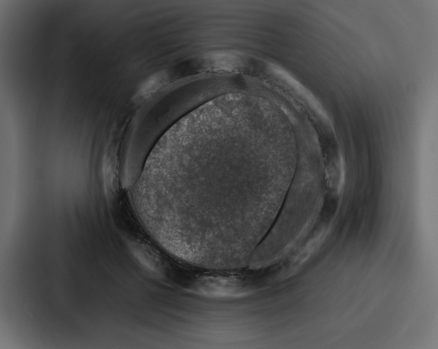 X0000087050552200705160953