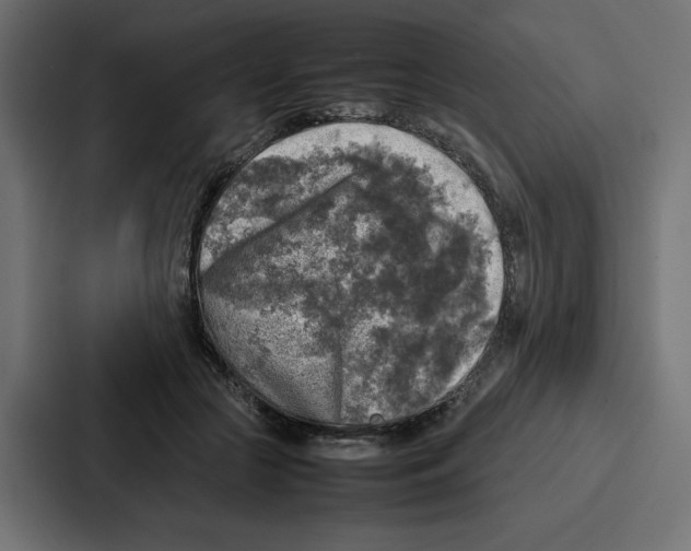 X0000087050553200705160953