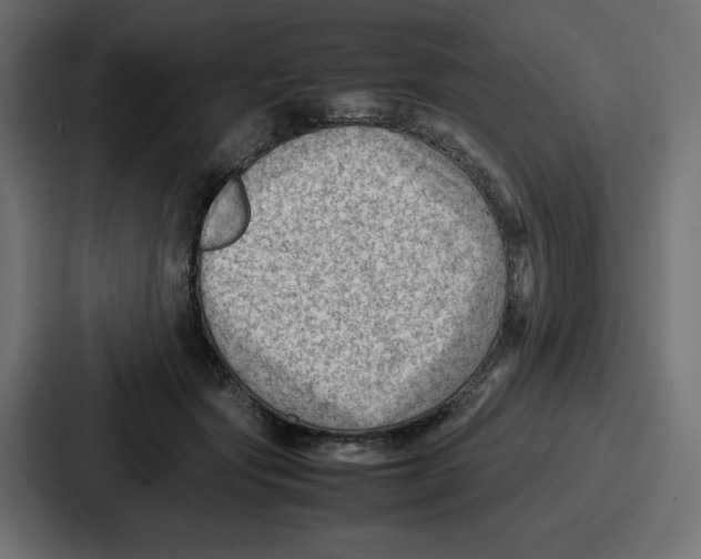 X0000087050557200705160954