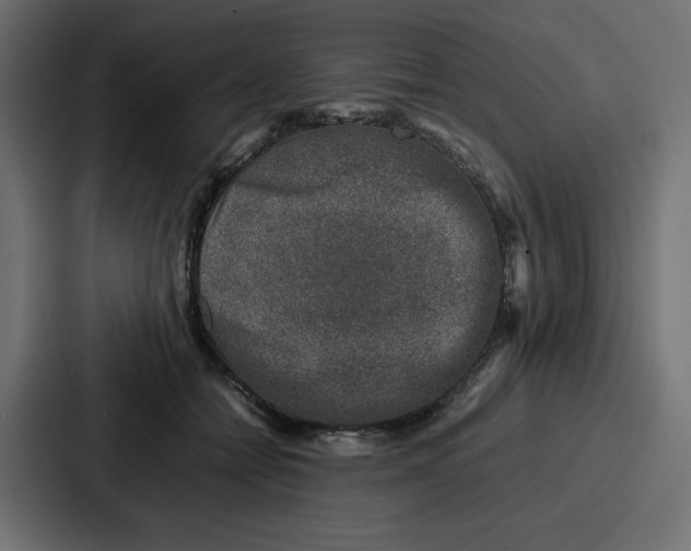 X0000087050558200705160954