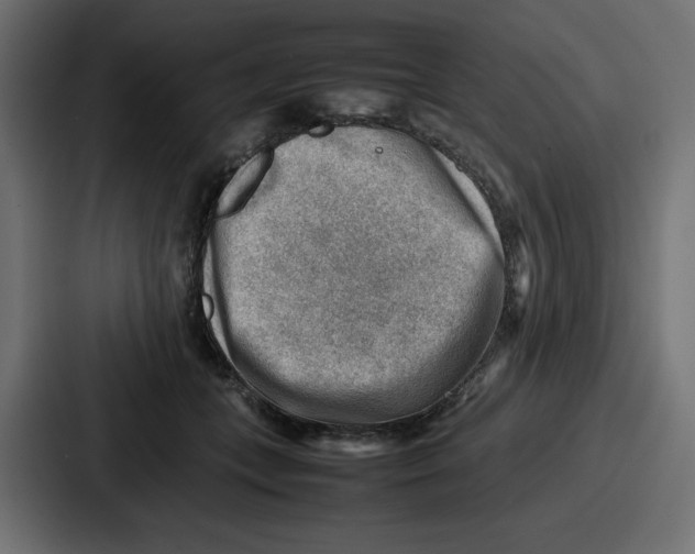 X0000087050559200705160954