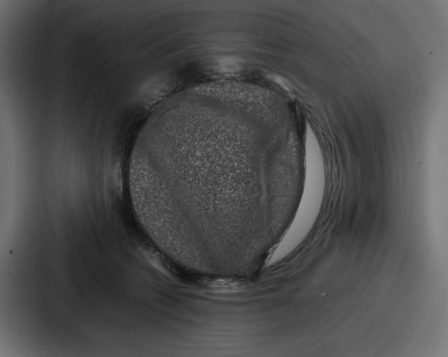 X0000087050562200705160954