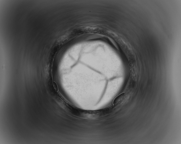 X0000087050563200705160954