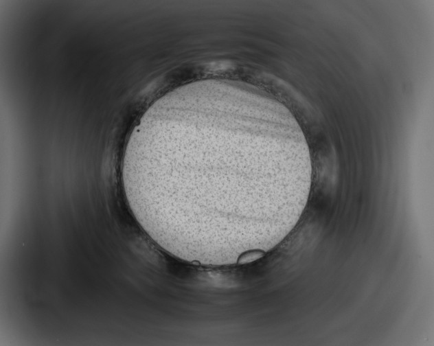 X0000087050565200705160954