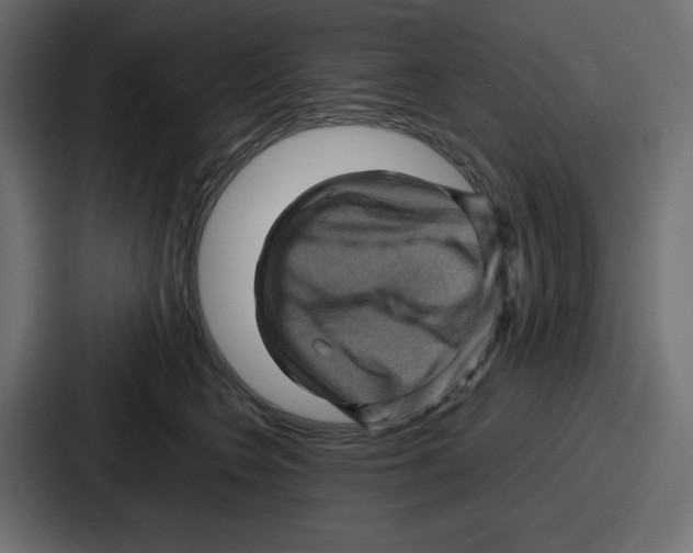 X0000087050566200705160954