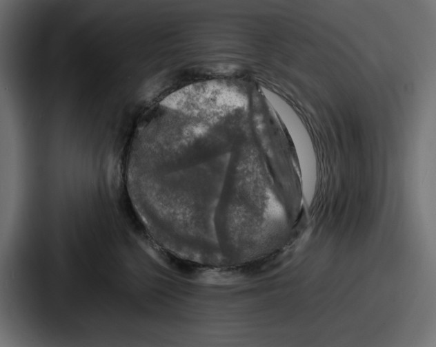 X0000087050568200705160954