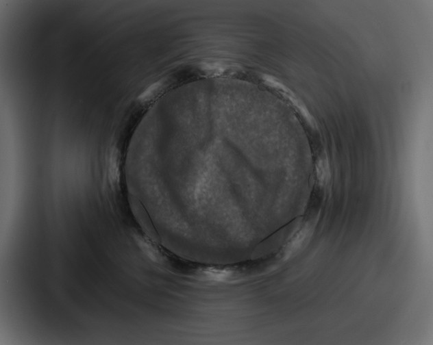 X0000087050570200705160954