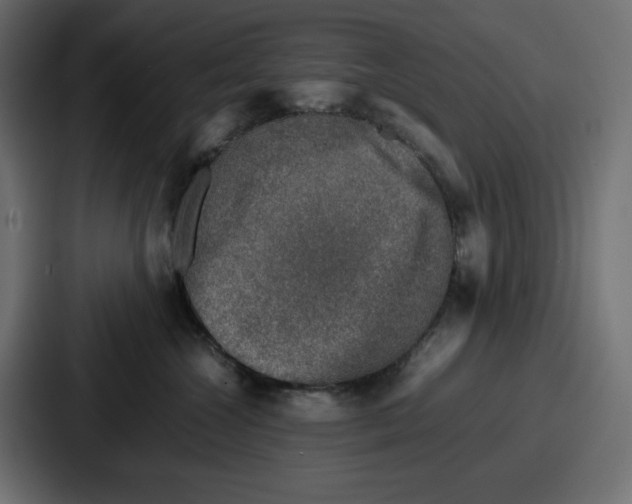 X0000087050572200705160954