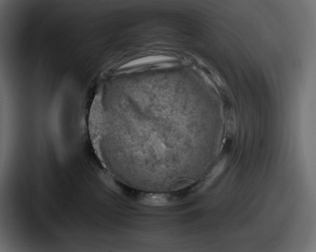 X0000087050573200705160954