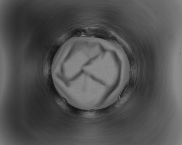 X0000087050574200705160954