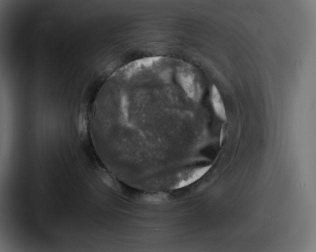 X0000087050576200705160954