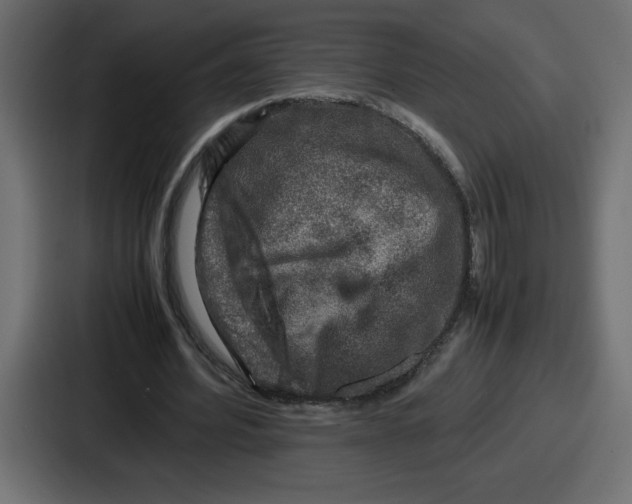 X0000087050580200705160953