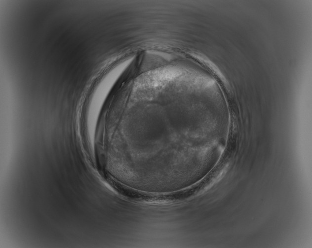 X0000087050581200705160953