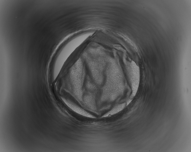 X0000087050584200705160953