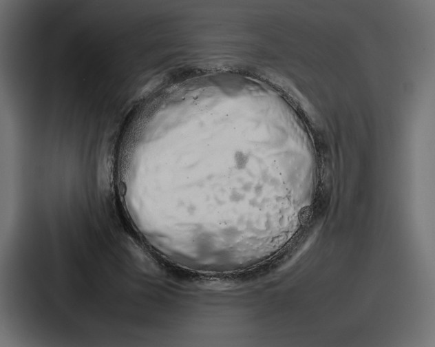 X0000087050585200705160953