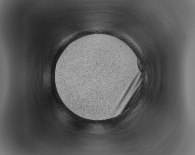 X0000087050588200705160953