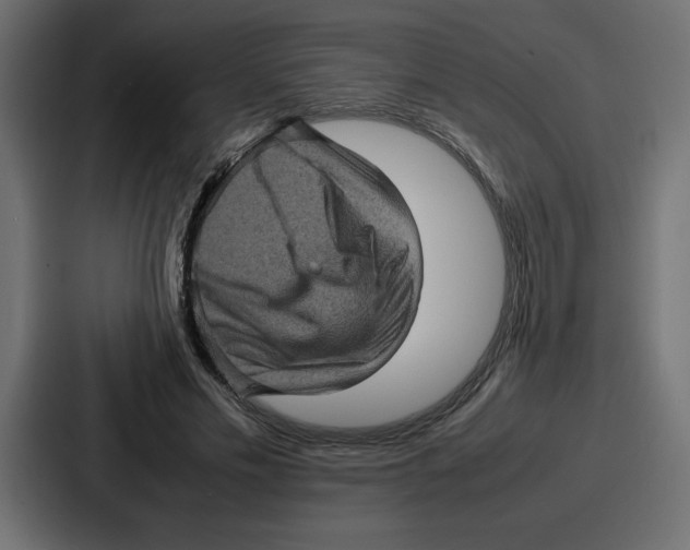 X0000087050589200705160953