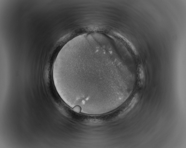 X0000087050590200705160953