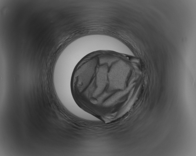 X0000087050595200705160953