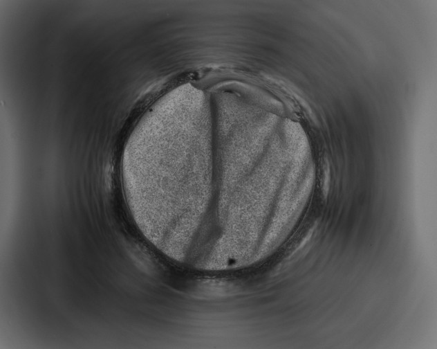 X0000087050596200705160953