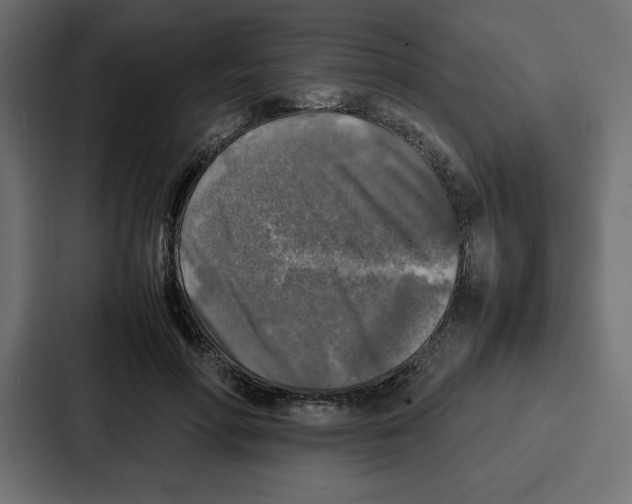 X0000087050598200705160953